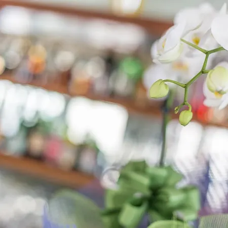 艾米利亚酒店 3* 里米尼