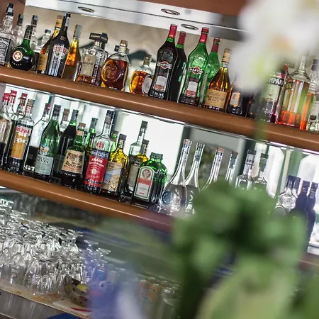 酒店 艾米利亚酒店 3*