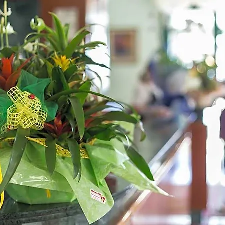Emilia Hotel Rimini